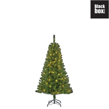 Tree L E D Charlton Green 230cm