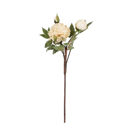 Artificial Peony Cream 65cm