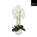Artificial Phalaenopsis In Pot White 40x34x82cm