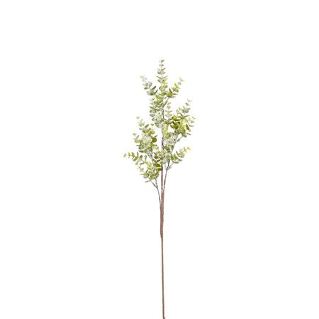 Eucalyptus Frosted 75cm