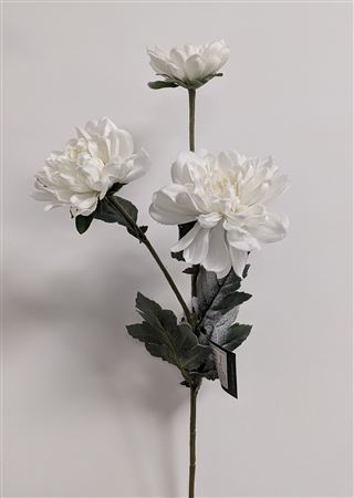 Chrysanthemum White 63cm