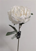 Peony White 70cm
