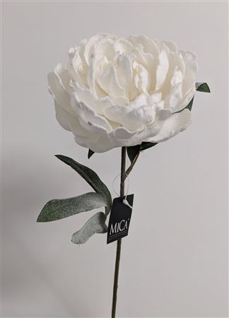 Peony White 70cm