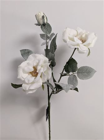Tea Rose White 69cm