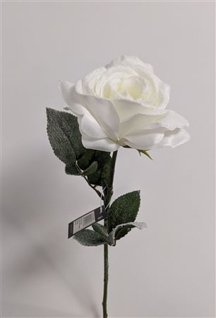 Rose White 65cm