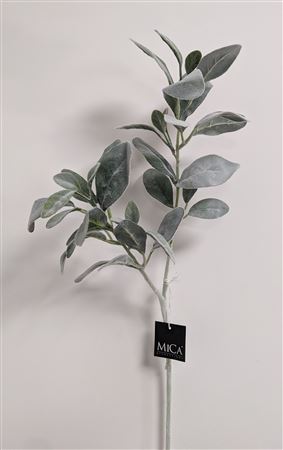 Limonium Green 71cm