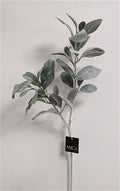 Limonium Green 71cm