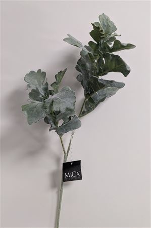 Senecio Green 74cm