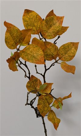 Cornus Branch Yellow 63cm