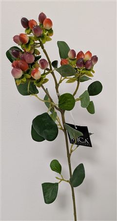 Hypericum Orange 63cm