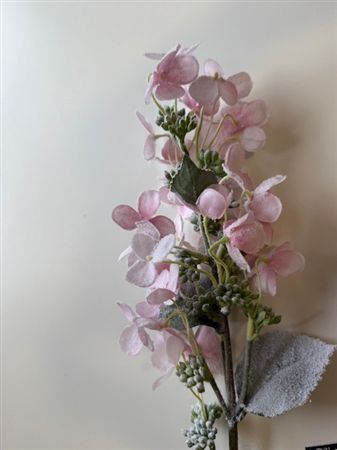 Hydrangea Frost Pink 71cm
