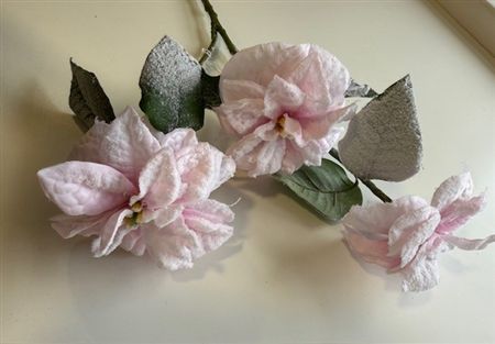 Poinsettis Pink Frosted 60cm