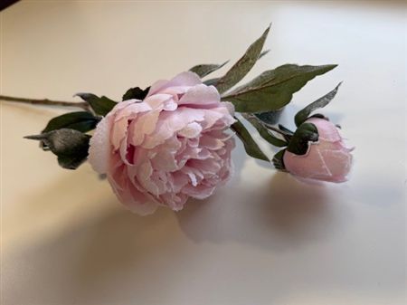 Peony Pink Frosted 70cm