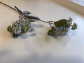 Cornus Branch Green Frosted 71cm