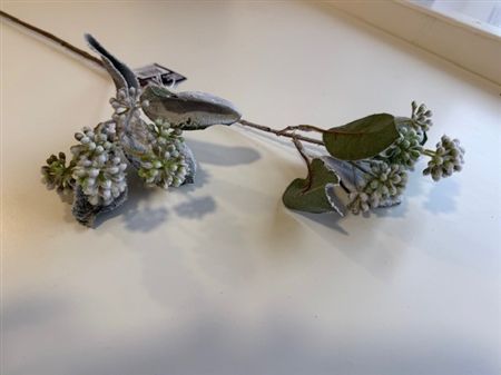 Cornus Branch Green Frosted 71cm