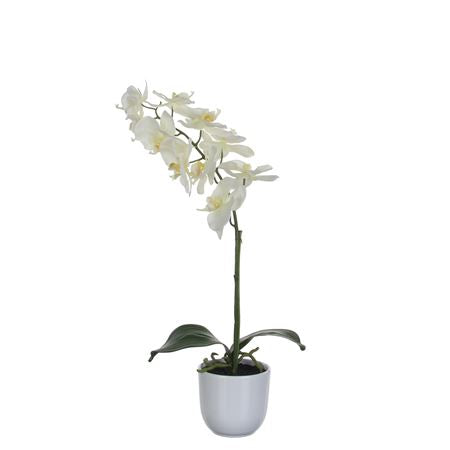 Artificial Phalaenopsis White In Pot 60cm