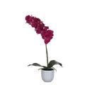 Artificial Phalaenopsis Purple In Pot 60cm
