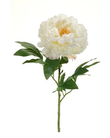 Artificial Peony Spray 65cm Cream