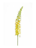 Artificial Eremurus Spray Yellow