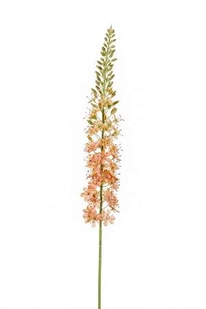 Artificial Eremurus Spray Peach