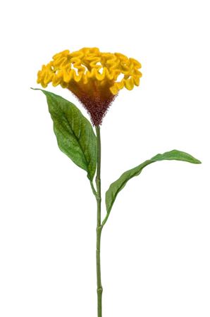 Artificial Celosia Spray Yellow 62cm (PACK OF 2)
