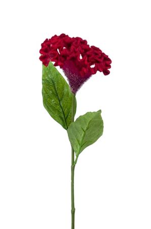 Artificial Celosia Spray Beauty 62cm