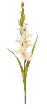Artificial Gladiolus Spray Cream 93cm