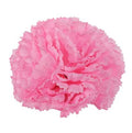 Artificial Carnation Pick Box Pink X144
