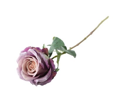 Artificial Essential Garden Rose Vintage Lilac (pack of 3)