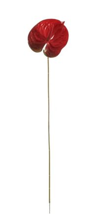 Artificial Anthurium Red (PACK OF 5)