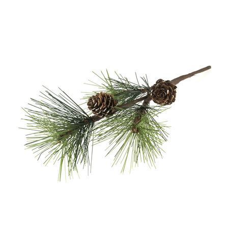 Scotch Pine 25cm  (PACK OF 3)