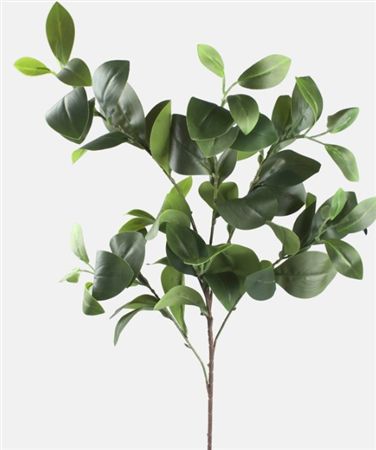 Artifical Clusia 90cm (PACK OF 2)