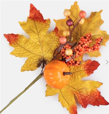 Maple Twig Pumpkin Orange Yellow