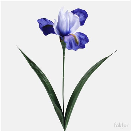 Artificial Iris Blue 60cm (PACK OF 5)
