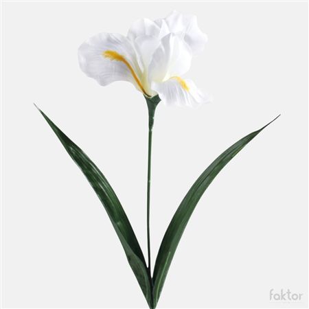 Artificial Iris White 60cm (PACK OF 5)