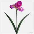 Artificial Iris Cerise 60cm (PACK OF 5)