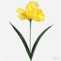 Artificial Iris Yellow 60cm (PACK OF 5)