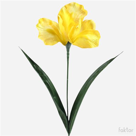 Artificial Iris Yellow 60cm (PACK OF 5)