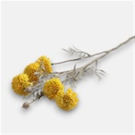 Artificial Mum Spray 5 Heads Yellow (PACK OF 2)