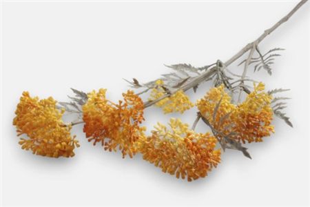 Artificial Achillia Branch X 5 Yellow