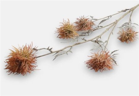 Artificial Xanthium Branch X 5 Orange (PACK OF 2)