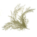 Artifical Fern Feathered Bush