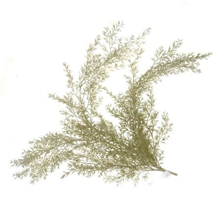 Artifical Fern Feathered Bush