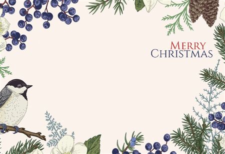 Small Card Merry Christmas Blue Bird (PACK OF 2)