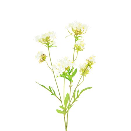 Artificial Mini Wild Flower Spray 68cm Cream (PACK OF 2)