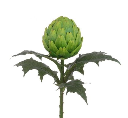 Artifical Artichoke Stem 66cm