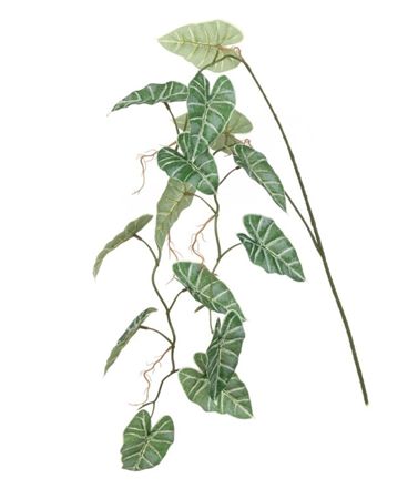 Artifical Alocasia Hanging Spray 147cm