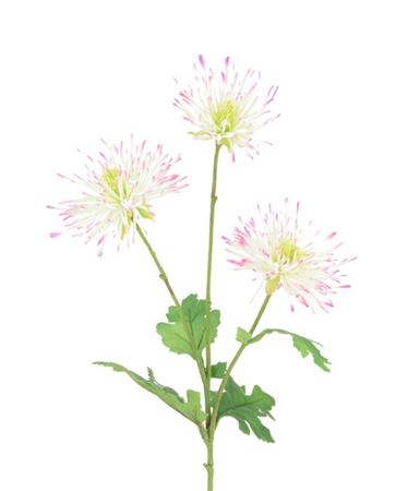 Artificial Spider Mum White Beauty