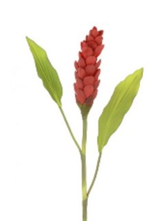 Artificial Torch Ginger Stem