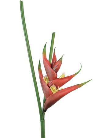 Artificial Heliconia Flower Red 56cm